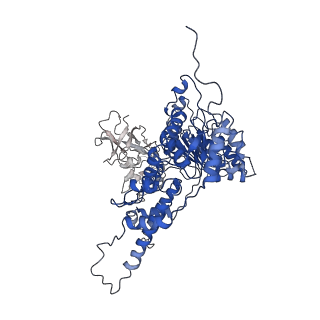 22675_7k56_C_v1-1
Structure of VCP dodecamer purified from H1299 cells