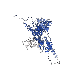 22675_7k56_D_v1-1
Structure of VCP dodecamer purified from H1299 cells