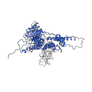 22675_7k56_E_v1-1
Structure of VCP dodecamer purified from H1299 cells