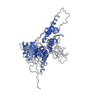 22675_7k56_F_v1-1
Structure of VCP dodecamer purified from H1299 cells