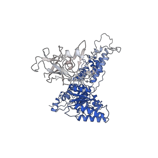 22675_7k56_G_v1-1
Structure of VCP dodecamer purified from H1299 cells