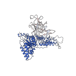 22675_7k56_H_v1-1
Structure of VCP dodecamer purified from H1299 cells