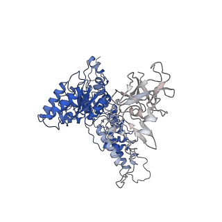 22675_7k56_I_v1-1
Structure of VCP dodecamer purified from H1299 cells