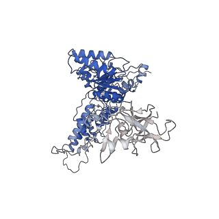 22675_7k56_J_v1-1
Structure of VCP dodecamer purified from H1299 cells