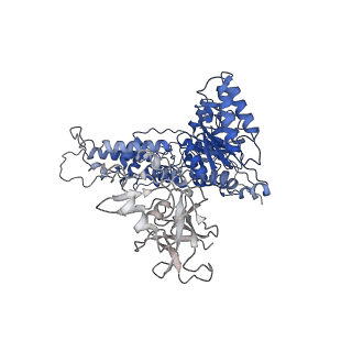 22675_7k56_K_v1-1
Structure of VCP dodecamer purified from H1299 cells