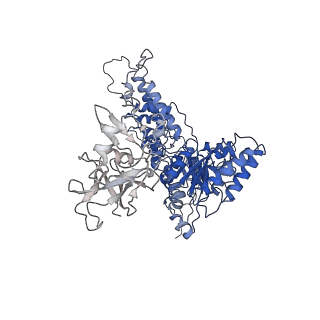 22675_7k56_L_v1-1
Structure of VCP dodecamer purified from H1299 cells
