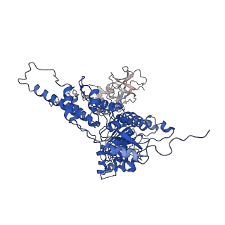 22676_7k57_A_v1-1
Structure of apo VCP dodecamer generated from bacterially recombinant VCP/p97