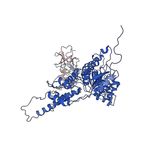 22676_7k57_B_v1-1
Structure of apo VCP dodecamer generated from bacterially recombinant VCP/p97