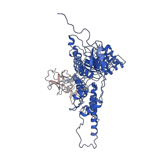 22676_7k57_C_v1-1
Structure of apo VCP dodecamer generated from bacterially recombinant VCP/p97