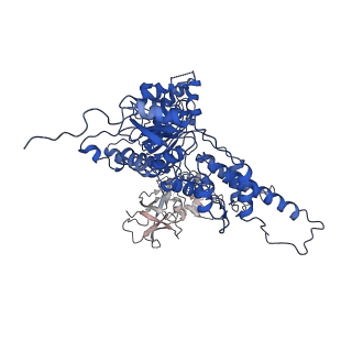 22676_7k57_D_v1-1
Structure of apo VCP dodecamer generated from bacterially recombinant VCP/p97