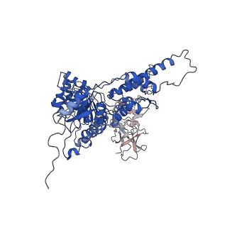 22676_7k57_E_v1-1
Structure of apo VCP dodecamer generated from bacterially recombinant VCP/p97