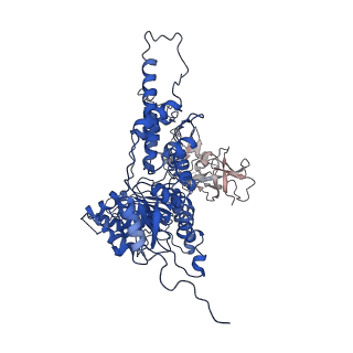 22676_7k57_F_v1-1
Structure of apo VCP dodecamer generated from bacterially recombinant VCP/p97