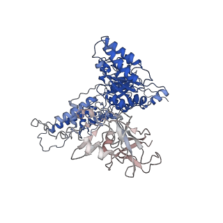 22676_7k57_G_v1-1
Structure of apo VCP dodecamer generated from bacterially recombinant VCP/p97