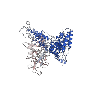 22676_7k57_H_v1-1
Structure of apo VCP dodecamer generated from bacterially recombinant VCP/p97