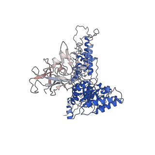 22676_7k57_I_v1-1
Structure of apo VCP dodecamer generated from bacterially recombinant VCP/p97