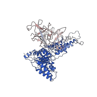 22676_7k57_J_v1-1
Structure of apo VCP dodecamer generated from bacterially recombinant VCP/p97