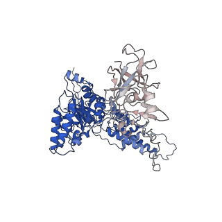 22676_7k57_K_v1-1
Structure of apo VCP dodecamer generated from bacterially recombinant VCP/p97