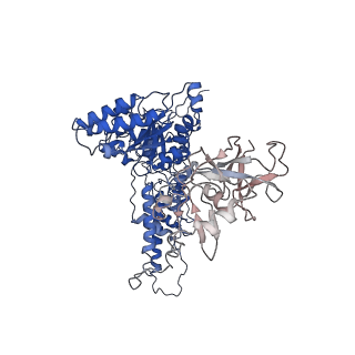 22676_7k57_L_v1-1
Structure of apo VCP dodecamer generated from bacterially recombinant VCP/p97