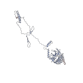 22677_7k58_D_v1-2
Structure of outer-arm dyneins bound to microtubule with microtubule binding state 1(MTBS-1)