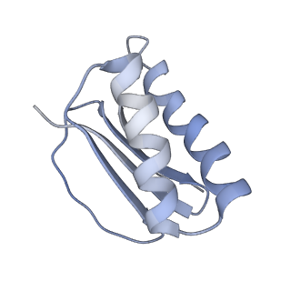 22677_7k58_K_v1-2
Structure of outer-arm dyneins bound to microtubule with microtubule binding state 1(MTBS-1)