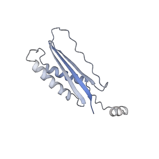 22677_7k58_O_v1-2
Structure of outer-arm dyneins bound to microtubule with microtubule binding state 1(MTBS-1)