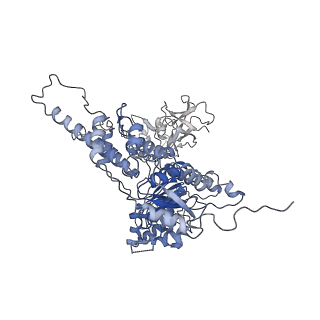22678_7k59_A_v1-1
Structure of apo VCP hexamer generated from bacterially recombinant VCP/p97
