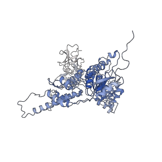 22678_7k59_B_v1-1
Structure of apo VCP hexamer generated from bacterially recombinant VCP/p97
