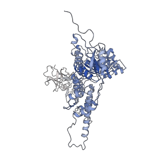 22678_7k59_C_v1-1
Structure of apo VCP hexamer generated from bacterially recombinant VCP/p97