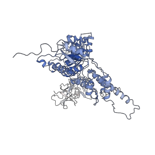 22678_7k59_D_v1-1
Structure of apo VCP hexamer generated from bacterially recombinant VCP/p97