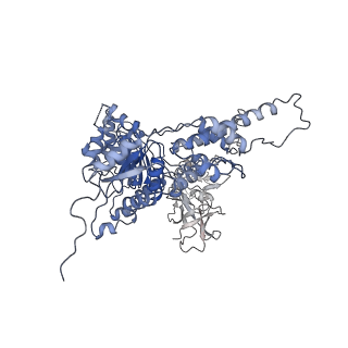 22678_7k59_E_v1-1
Structure of apo VCP hexamer generated from bacterially recombinant VCP/p97