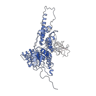 22678_7k59_F_v1-1
Structure of apo VCP hexamer generated from bacterially recombinant VCP/p97