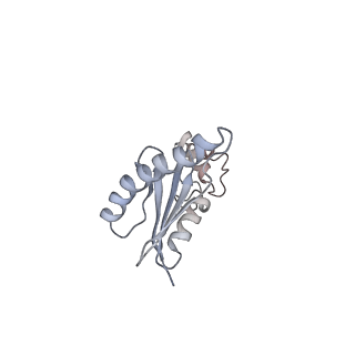 22679_7k5b_G_v1-2
Structure of outer-arm dynein bound to microtubule doublet in microtubule binding state 2 (MTBS-2)