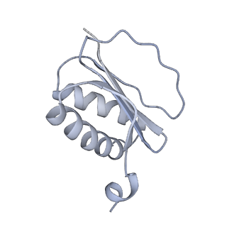 22679_7k5b_H_v1-2
Structure of outer-arm dynein bound to microtubule doublet in microtubule binding state 2 (MTBS-2)