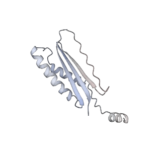 22679_7k5b_O_v1-2
Structure of outer-arm dynein bound to microtubule doublet in microtubule binding state 2 (MTBS-2)