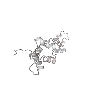 22679_7k5b_R_v1-2
Structure of outer-arm dynein bound to microtubule doublet in microtubule binding state 2 (MTBS-2)