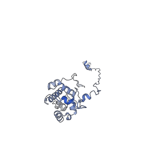 22680_7k5c_F_v1-1
Structure of T7 DNA ejectosome periplasmic tunnel