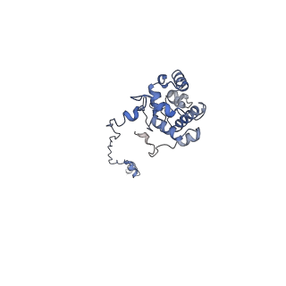 22680_7k5c_G_v1-1
Structure of T7 DNA ejectosome periplasmic tunnel