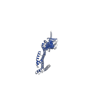 22680_7k5c_K_v1-1
Structure of T7 DNA ejectosome periplasmic tunnel