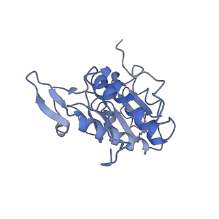 22681_7k5i_A_v1-1
SARS-COV-2 nsp1 in complex with human 40S ribosome