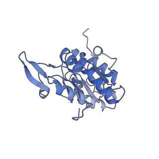 22681_7k5i_A_v2-0
SARS-COV-2 nsp1 in complex with human 40S ribosome