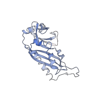22681_7k5i_B_v1-1
SARS-COV-2 nsp1 in complex with human 40S ribosome