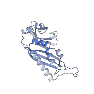 22681_7k5i_B_v2-0
SARS-COV-2 nsp1 in complex with human 40S ribosome