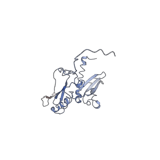 22681_7k5i_D_v1-1
SARS-COV-2 nsp1 in complex with human 40S ribosome
