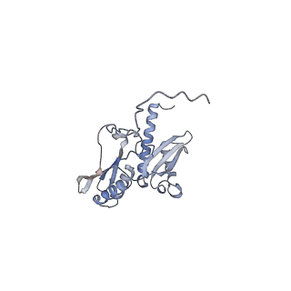 22681_7k5i_D_v2-0
SARS-COV-2 nsp1 in complex with human 40S ribosome