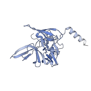 22681_7k5i_E_v2-0
SARS-COV-2 nsp1 in complex with human 40S ribosome