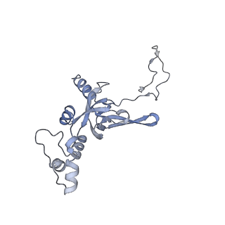 22681_7k5i_I_v2-0
SARS-COV-2 nsp1 in complex with human 40S ribosome