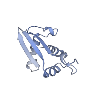 22681_7k5i_K_v2-0
SARS-COV-2 nsp1 in complex with human 40S ribosome
