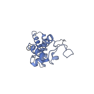 22681_7k5i_N_v2-0
SARS-COV-2 nsp1 in complex with human 40S ribosome