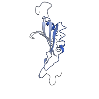22681_7k5i_O_v1-1
SARS-COV-2 nsp1 in complex with human 40S ribosome