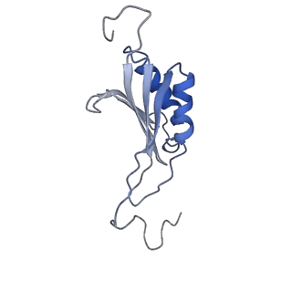22681_7k5i_O_v2-0
SARS-COV-2 nsp1 in complex with human 40S ribosome